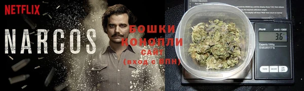 стаф Козловка