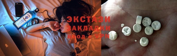 индика Дубна