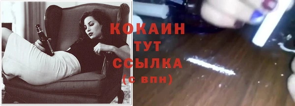 сатива Киреевск