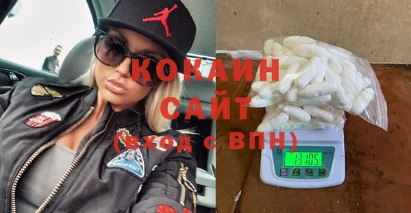 стаф Козловка