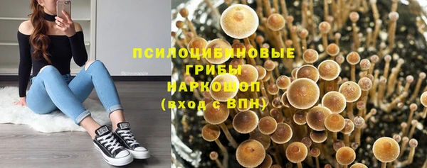стаф Козловка
