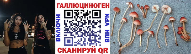 darknet как зайти  Кораблино  Галлюциногенные грибы GOLDEN TEACHER 